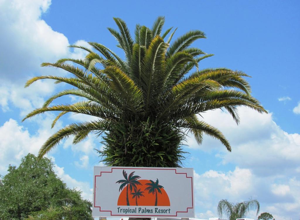 Tropical Palms Resort & Campground Kissimmee Extérieur photo